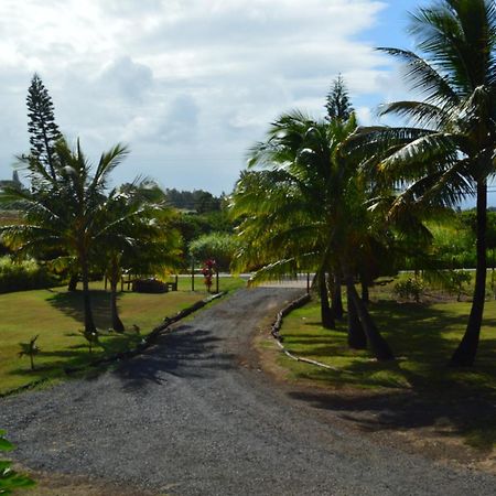 Bed and Breakfast God'S Peace Of Maui Makawao Zimmer foto