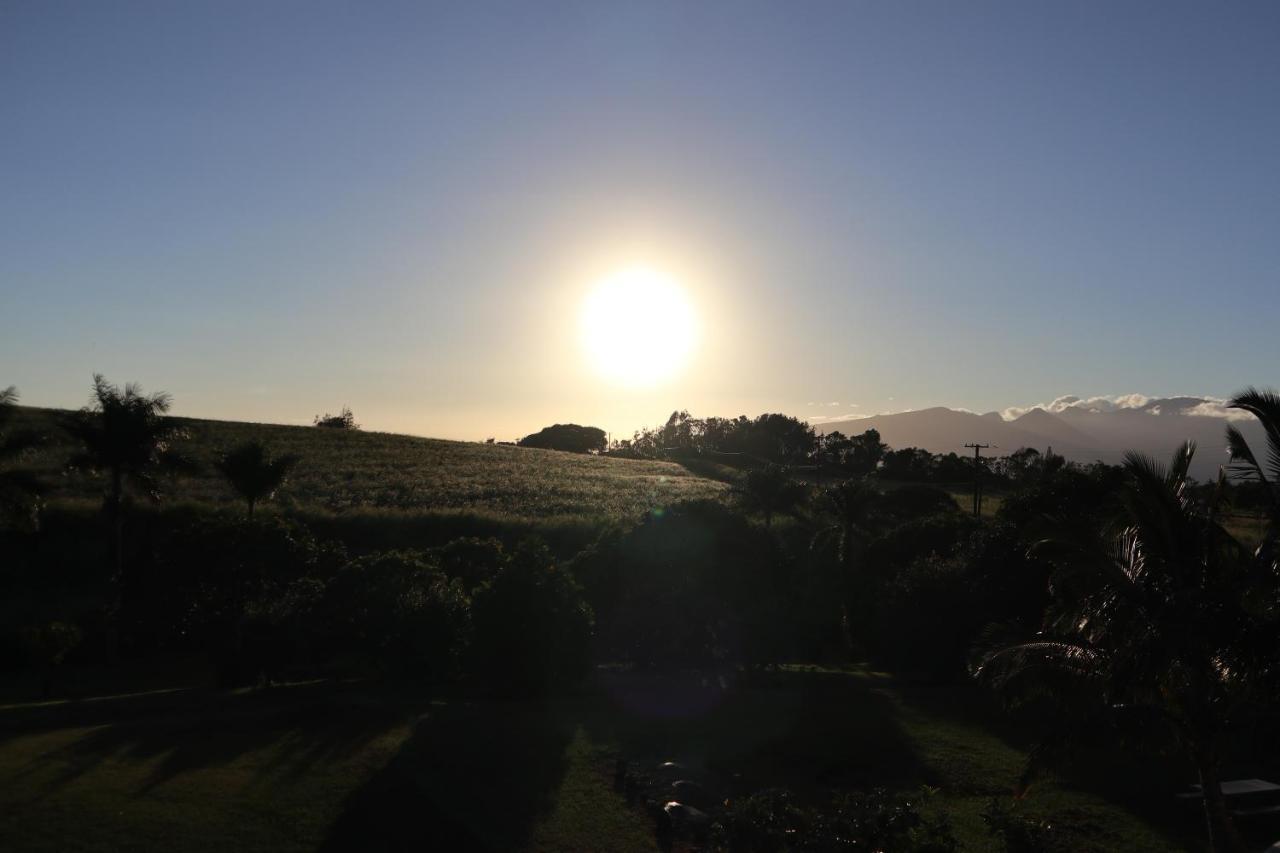 Bed and Breakfast God'S Peace Of Maui Makawao Exterior foto