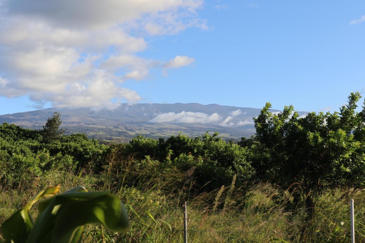 Bed and Breakfast God'S Peace Of Maui Makawao Exterior foto