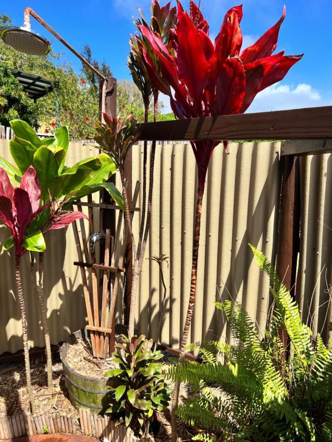 Bed and Breakfast God'S Peace Of Maui Makawao Exterior foto