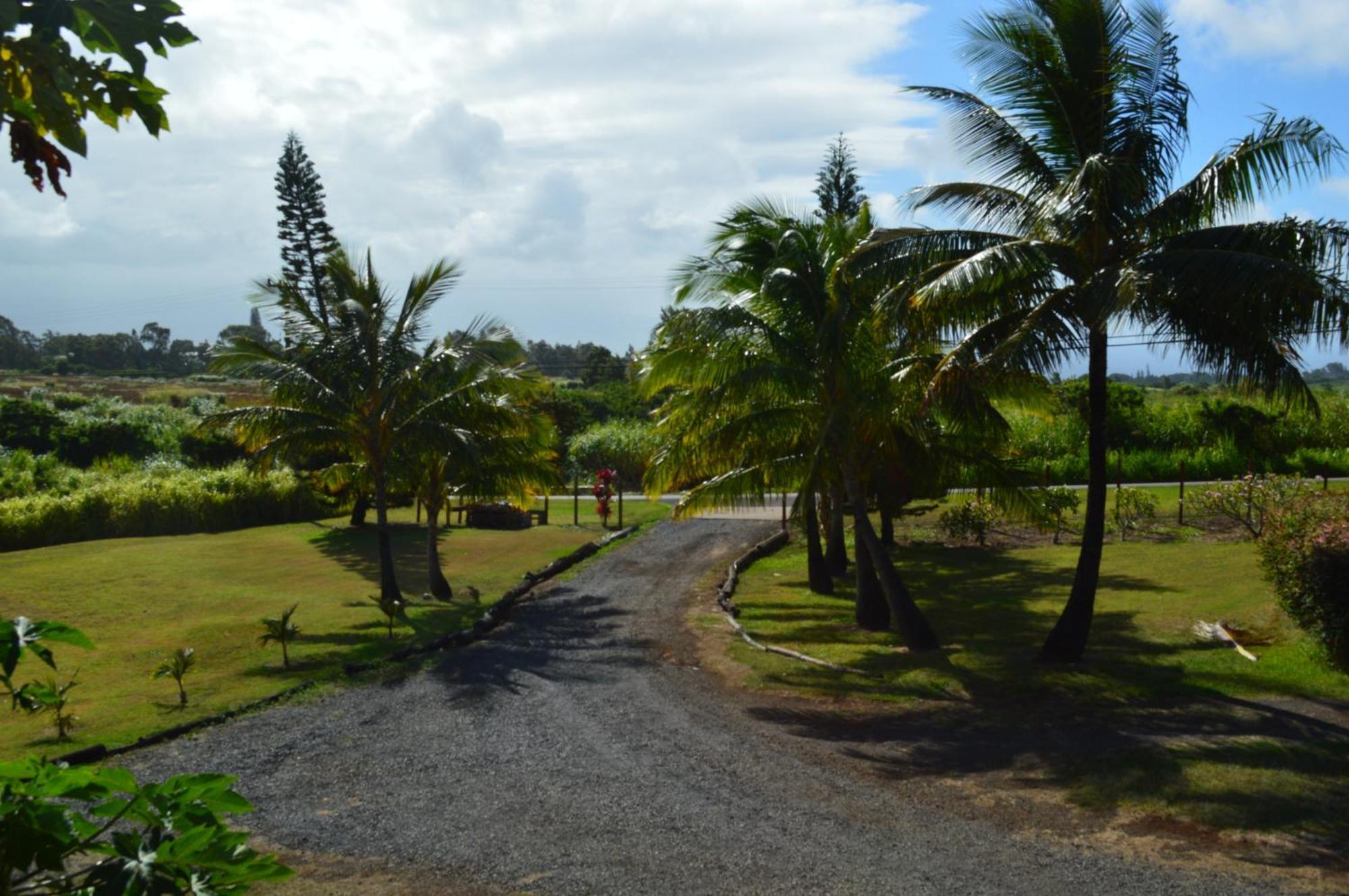 Bed and Breakfast God'S Peace Of Maui Makawao Zimmer foto