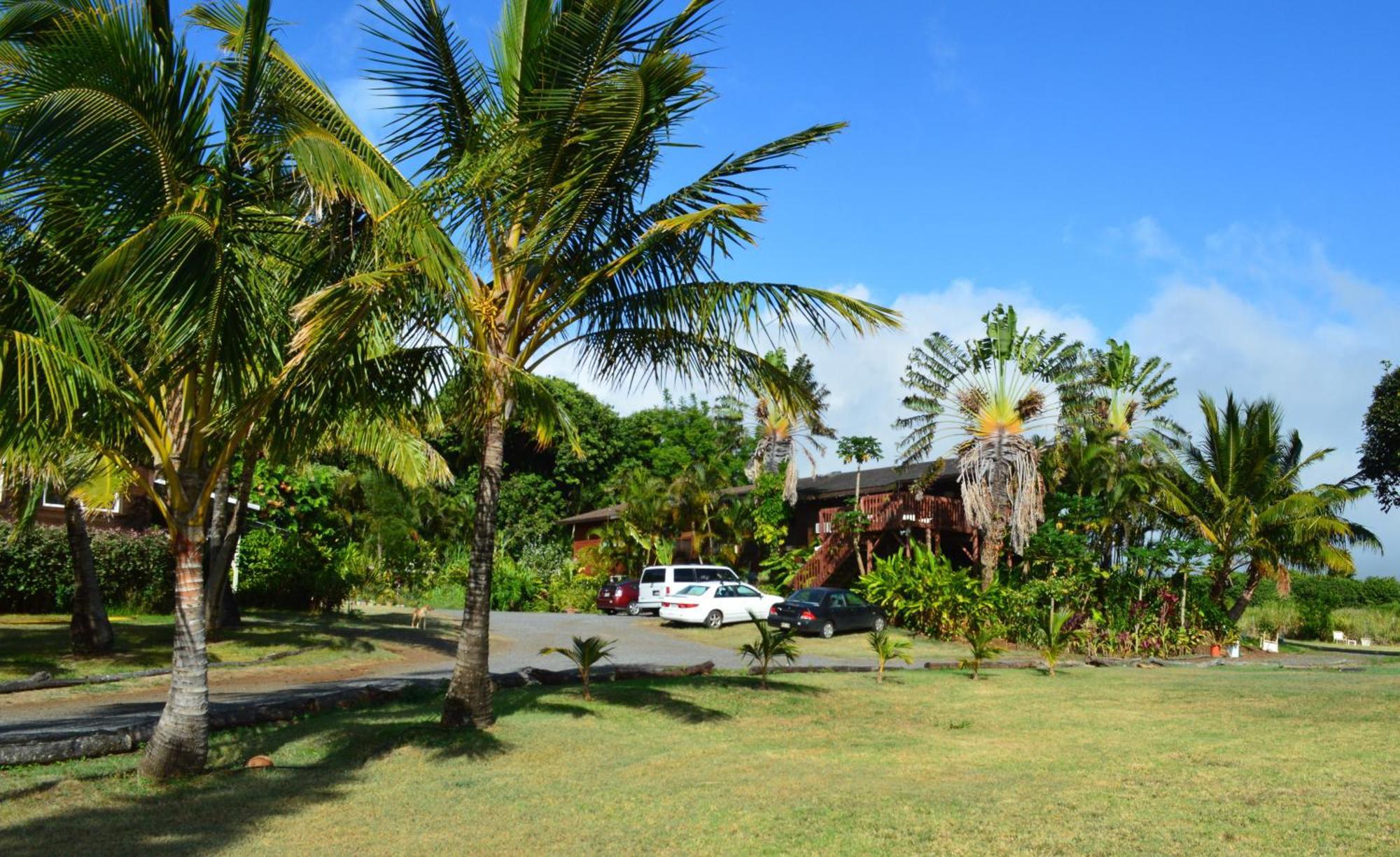 Bed and Breakfast God'S Peace Of Maui Makawao Zimmer foto