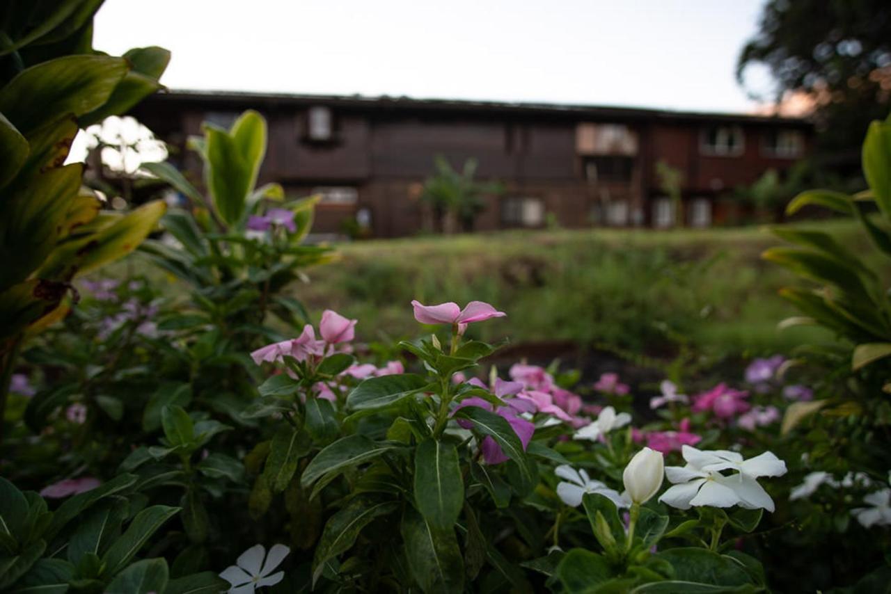 Bed and Breakfast God'S Peace Of Maui Makawao Exterior foto