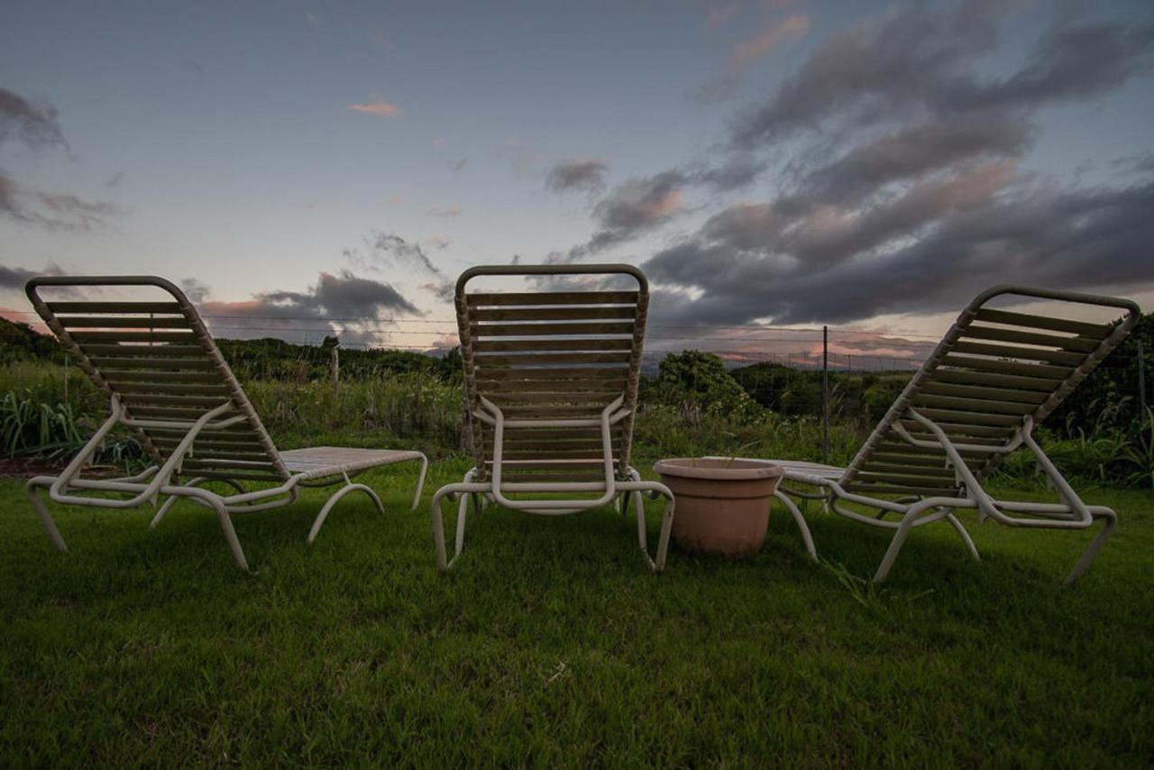 Bed and Breakfast God'S Peace Of Maui Makawao Exterior foto
