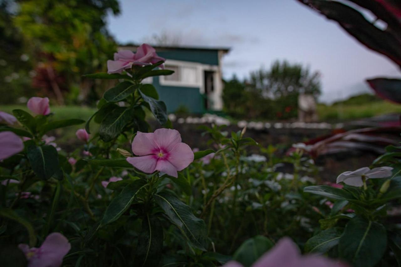 Bed and Breakfast God'S Peace Of Maui Makawao Exterior foto
