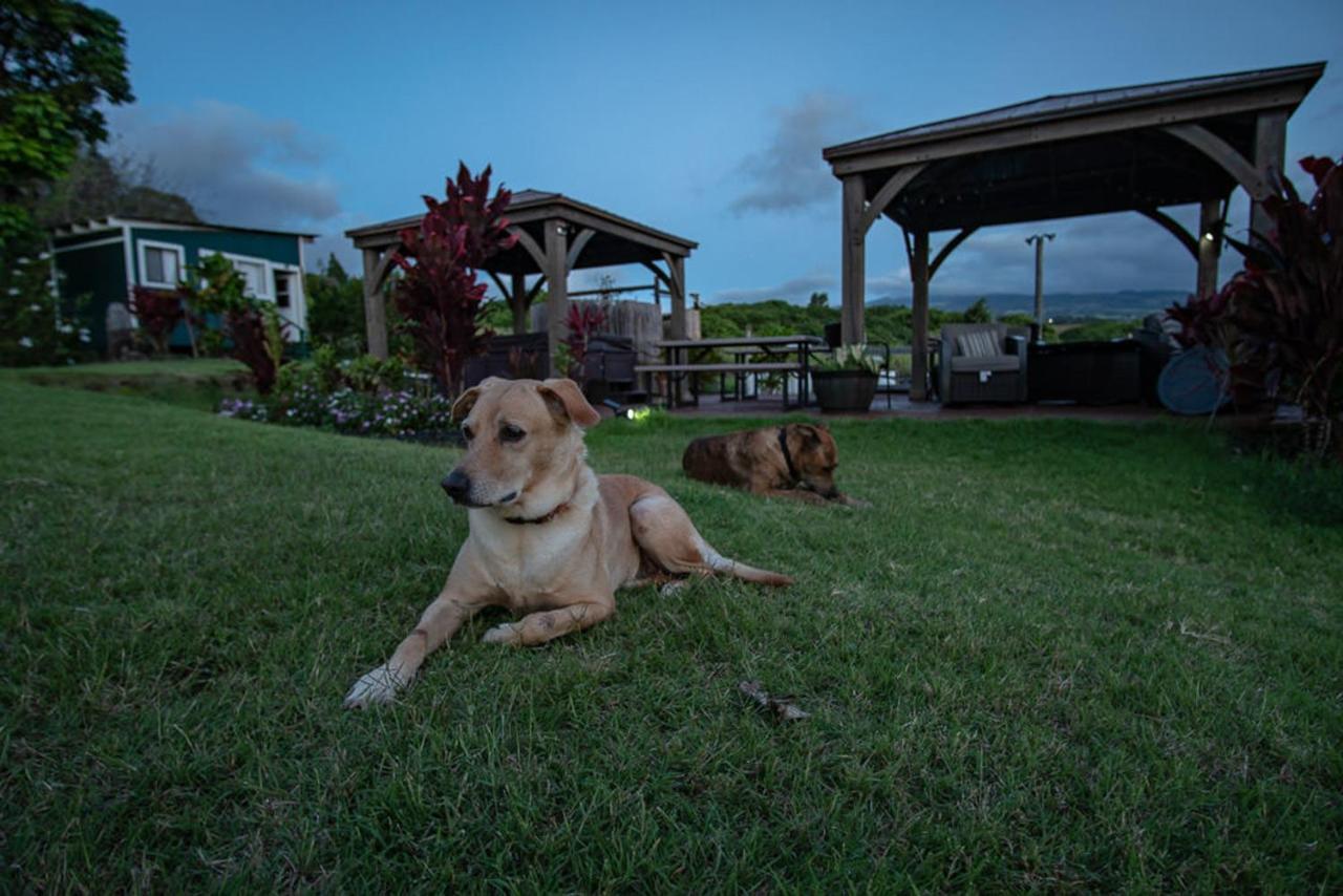 Bed and Breakfast God'S Peace Of Maui Makawao Exterior foto