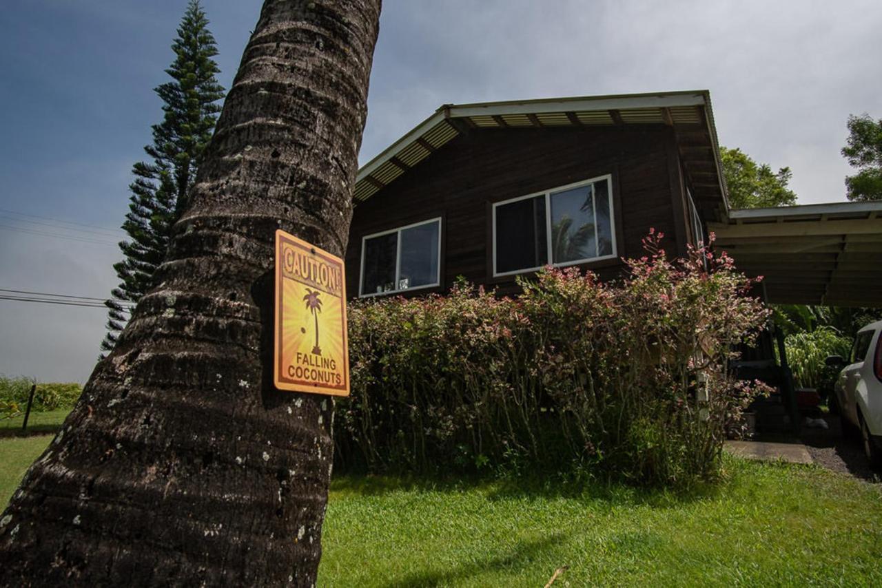 Bed and Breakfast God'S Peace Of Maui Makawao Exterior foto